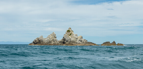 DUrville TuAraiawaIsland Opotiki Bay 01