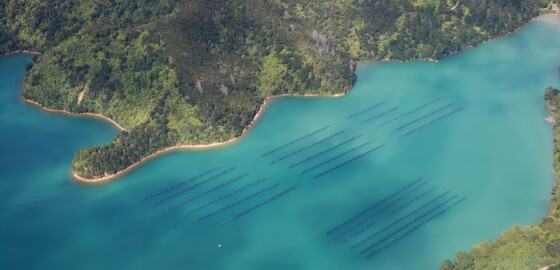 Keneperu MillsBay AirplaneImage 02 Cropped