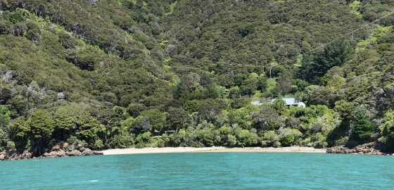 Keneperu NikauCove Panorama 01