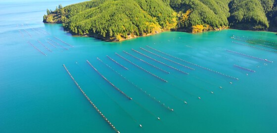 MarineFarms