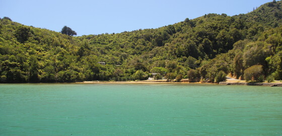 Mistletoe Bay 17