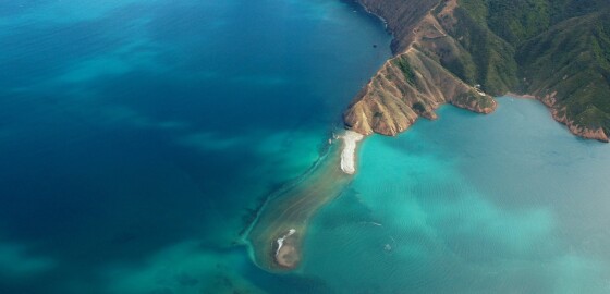 OS DUrvilleIsland GrevilleHarbour AirplaneImage 01 Bright
