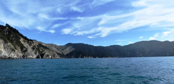 PU FightingBay Panorama H 01