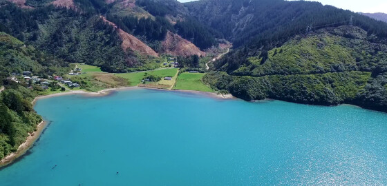 PU HakahakaBay Aerial 01 Bright
