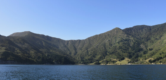 Pelorus BrightlandsBay 15 Bright
