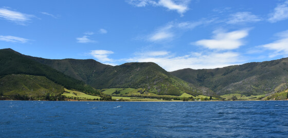 Pelorus ElieBay 05 Bright