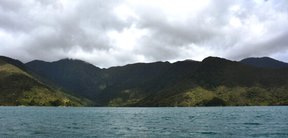 Pelorus FairyBay 04 Bright