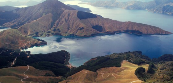 Pelorus HallamCove AirplaneImage 01 Bright