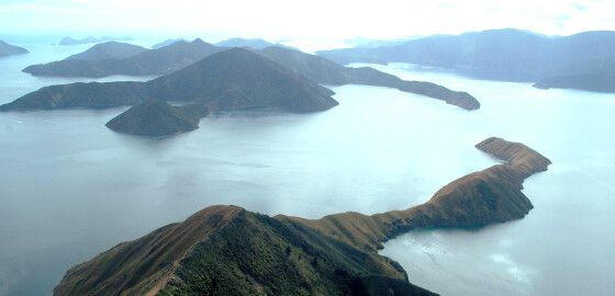Pelorus KauauroaBay AirplaneImage 01 Bright New