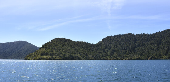 Pelorus Ngawhakawhiti North 01 Bright