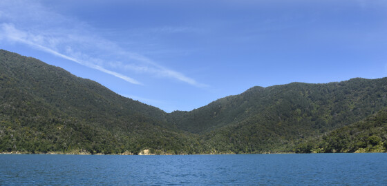 Pelorus Ngawhakawhiti South 05 Bright