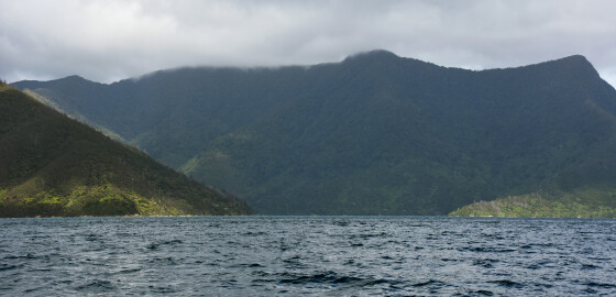 Pelorus NorthWestBay 07 Bright
