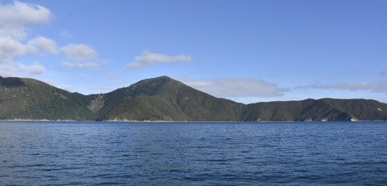 Pelorus Richmond Bay 07 Bright