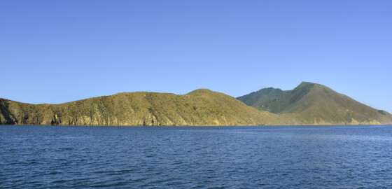 Pelorus TaweroCoastal SectionOne 08 Bright