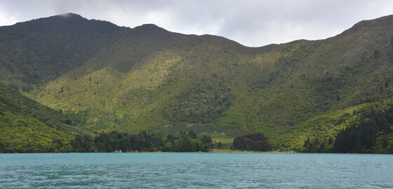Pelorus TiraOraLodge 08 Bright