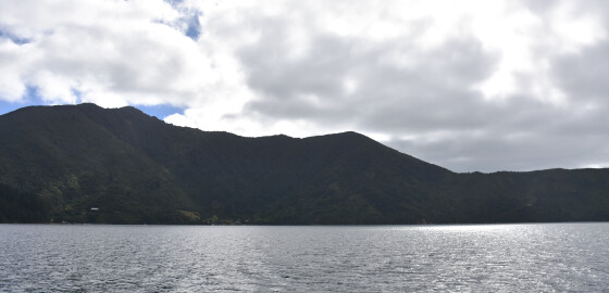 Pelorus Waihinau Bulwer Bay 04 Bright