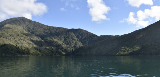 Pelorus Waiona Bay 05 Cropped