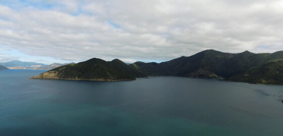 Pelorus Waitata Bay 03 Bright