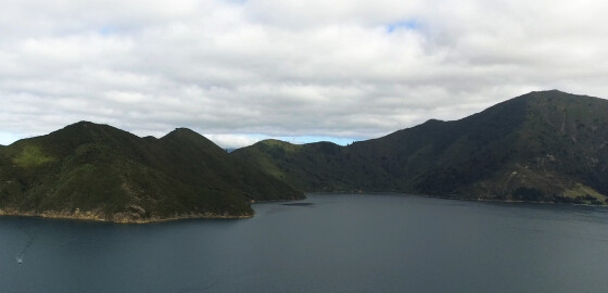 Pelorus Waitata Bay Hamilton Cove 01 Bright
