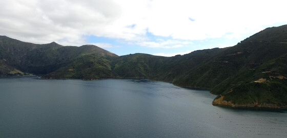 Pelorus Waitata Bay Steamboat Bay 01 Bright