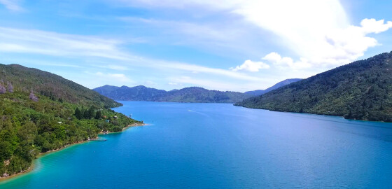 QCS EndeavourInlet 01