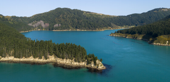 QCS ToryChannel MotukinaPoint To OysterBay