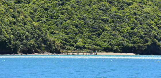 TC KawhiaBay 11 Cropped