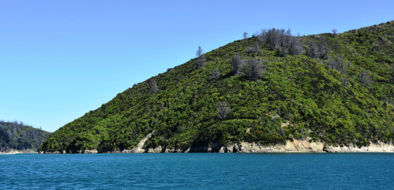 TC RuaomokoPoint to NgaionuiPoint 04