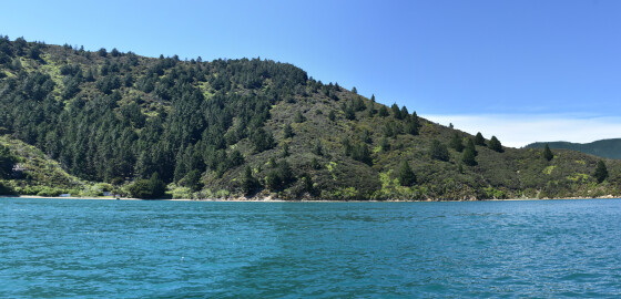 TC TeWekaBay Panorama 02