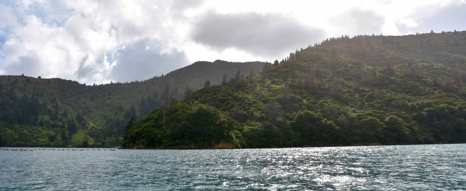 Pelorus Sound | Cruise Guide