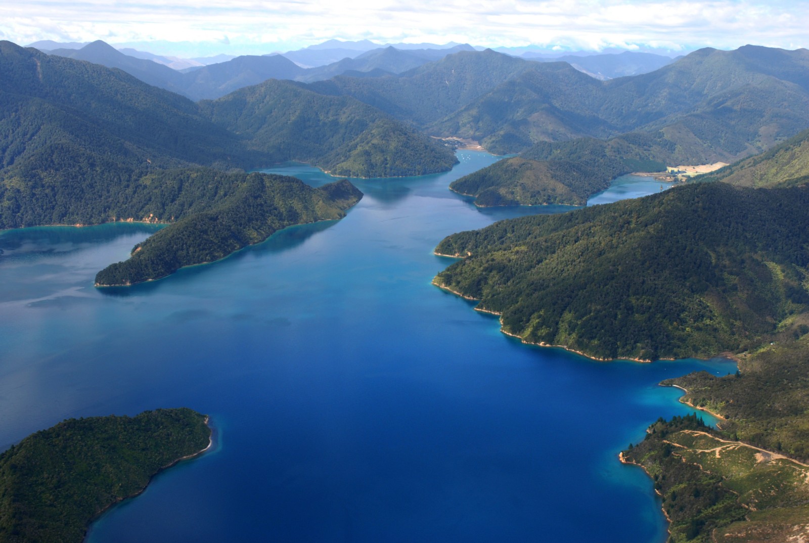 Pelorus Sound | Cruise Guide