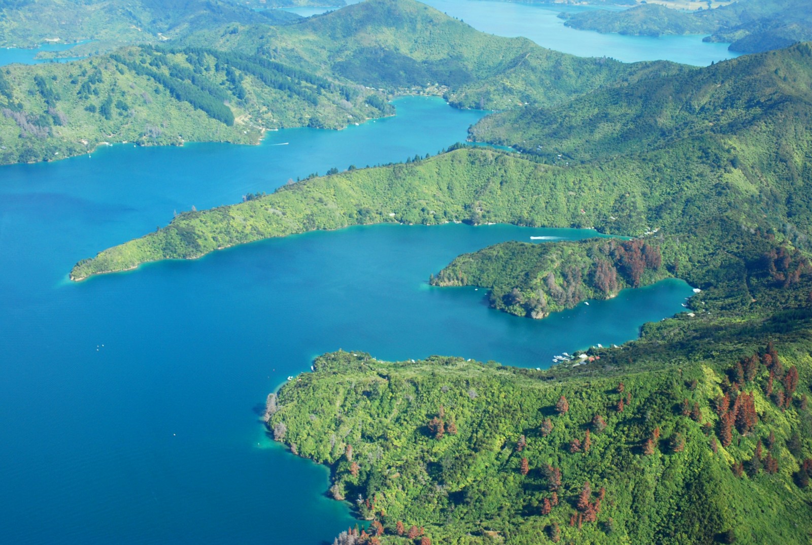 Queen Charlotte Sound Cruise Guide