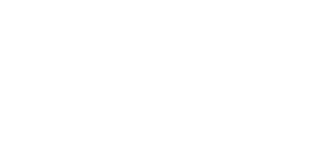 Marlborough Sounds Cruise Guide